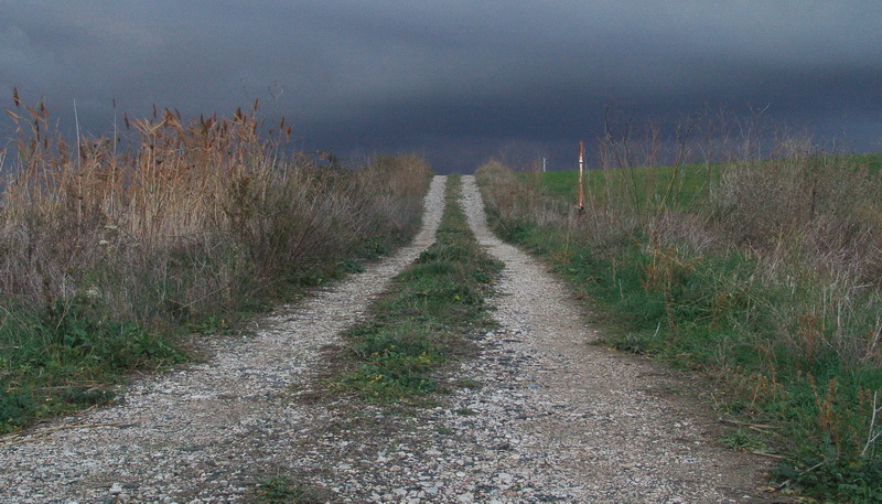 La Diaccia Botrona - Padule di Castiglione della Pescaia